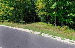 Ballard Road, Benzonia, MI 49616