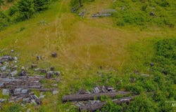 312 Hidden Valley Lane, Weippe, ID 83553