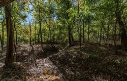 403238 E 1250, Hanna, OK 74845
