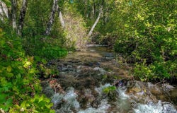 1909 Shasta Ranch Road N, Mount Shasta, CA 96067