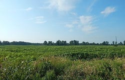 1611 E Hyde Road, St. Johns, MI 48879