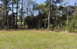 7533 Old Number Six Highway, Santee, SC 29142