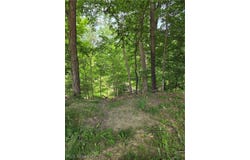 1065 Rosealee Avenue, Elyria, OH 44035