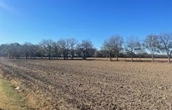E Rosemary Road, Cleveland, MS 38732
