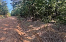 Hwy 43 N & Attala Rd 2120, Ethel, MS 39067