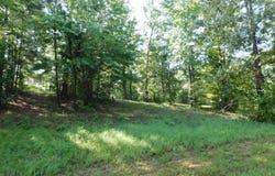 509 Eagle Estates, Hemphill, TX 75948