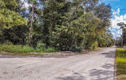SE 218th Ave, Old Town, FL 32686
