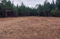 Harper Rd. lot: 7&8, Marion, SC 29571