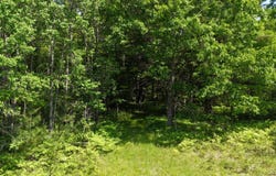 Dickson Road, Brethren, MI 49619