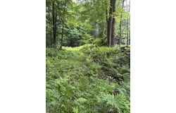 100 Ledge Road, Lisbon, NH 03585