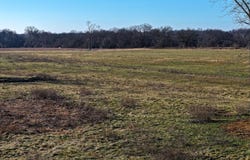 E Logan, El Dorado Springs, MO 64744