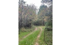 10000 Teachout RD, Onsted, MI 49265