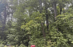 S Hemlock Road, Cedar, MI 40621