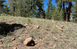 82 Kiowa Cir, Westcliffe, CO 81252