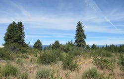 Ranch Road, Chiloquin, OR 97624