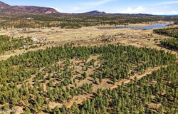 N2147, Alpine, AZ 85920