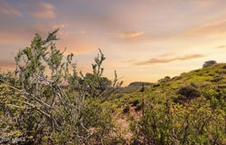55 FOXTAIL Circle, Pine, AZ 85544