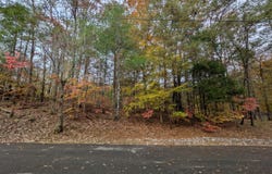 517 Clearwater Circle, Townsend, TN 37882