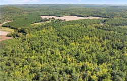 New Hope Road, Denton, NC 27239