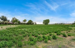 1544 Hauck Meadows Dr, Frederick, CO 80504