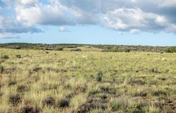 Road X, Dolores, CO 81323