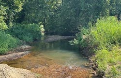 365 TURNBOW Ln, Crump, TN 38327