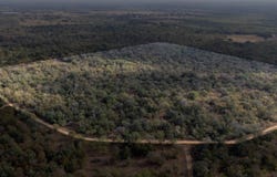 PR 2221, Nixon, TX 78140