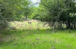 Hickory Loop Road, Thornton, TX 76687