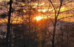 64, Lenoir, NC 28633