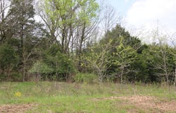 River Pass Drive lot: 11, Marshfield, MO 65706