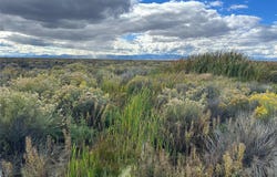 Highway 17, Moffat, CO 81143