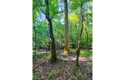 Highway 50, Dadeville, AL 36853