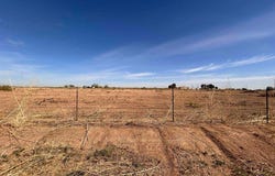 BRANTLEY Rd, Carlsbad, NM 88220