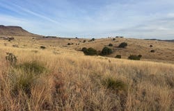 106 White Tail Dr, Fort Davis, TX 79734
