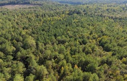 Glass Rd, Sulligent, AL 35586