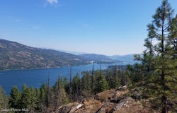 E Dunromin Rd, Priest River, ID 83856