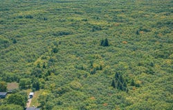 W Olson Road, Shepherd, MI 48883