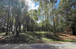 258 Co Rd 1123, Vinemont, AL 35179