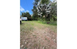 Cedro Abajo, Naranjito, PR 00719