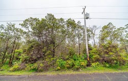 11-3051 ANUHEA ST, Volcano, HI 96785