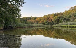 10035 ORCHARD RD, BERLIN, MD 21811