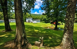 2042 Dutch Valley Rd, Clinton, TN 37716