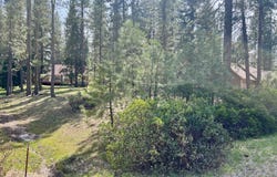 325 Eureka Springs Drive, Blairsden, CA 96103