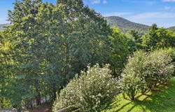 70 Spy Glass Circle, Dillard, GA 30537