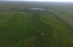 141st St, Ipswich, SD 57451