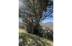 School St, Caliente, CA 93518