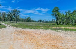 Chad Lake Rd, Alma, GA 31510