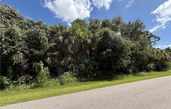 2560 Shady Ave lot: 19, NORTH PORT, FL 32186