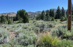 556 Longhorn Drive, Loyalton, CA 96118