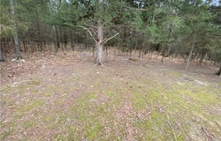 Pine Street lot: 2, Diamond City, AR 72644